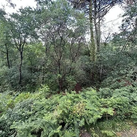 Des Dunes * Biscarrosse