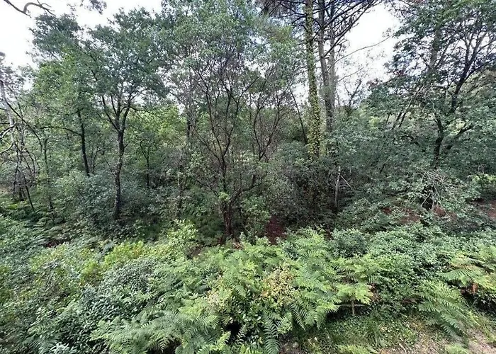 Des Dunes * Biscarrosse